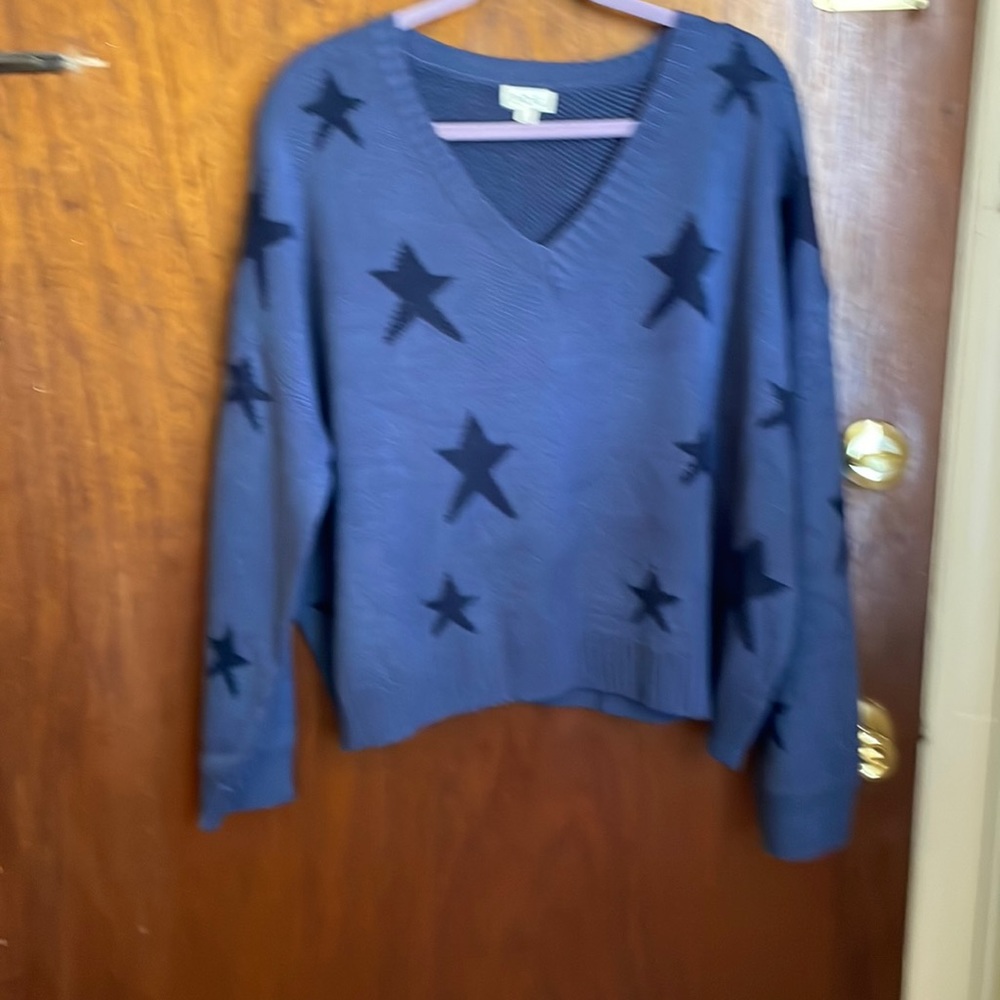 POL never worn v-neck Star sweater